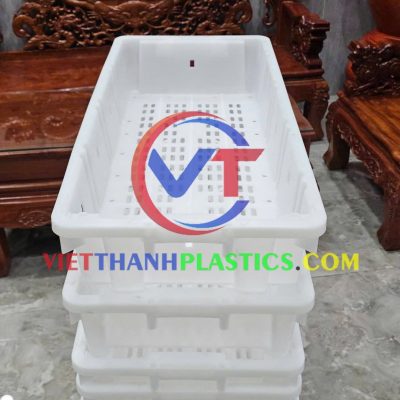 ✅ SÓNG CÁ KHAY THU CÁ NHỰA CAO CẤP – GIẢI PHÁP BẢO QUẢN CÁ TƯƠI HIỆU QUẢ NHẤT